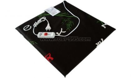 ЕЛЕКТРИЧЕСКА ВЪЗГЛАВНИЦА